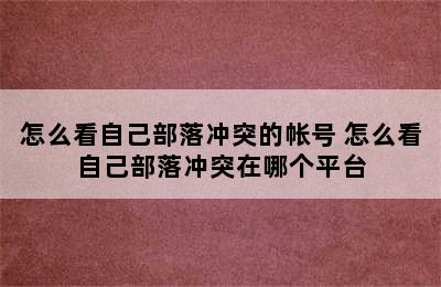 怎么看自己部落冲突的帐号 怎么看自己部落冲突在哪个平台